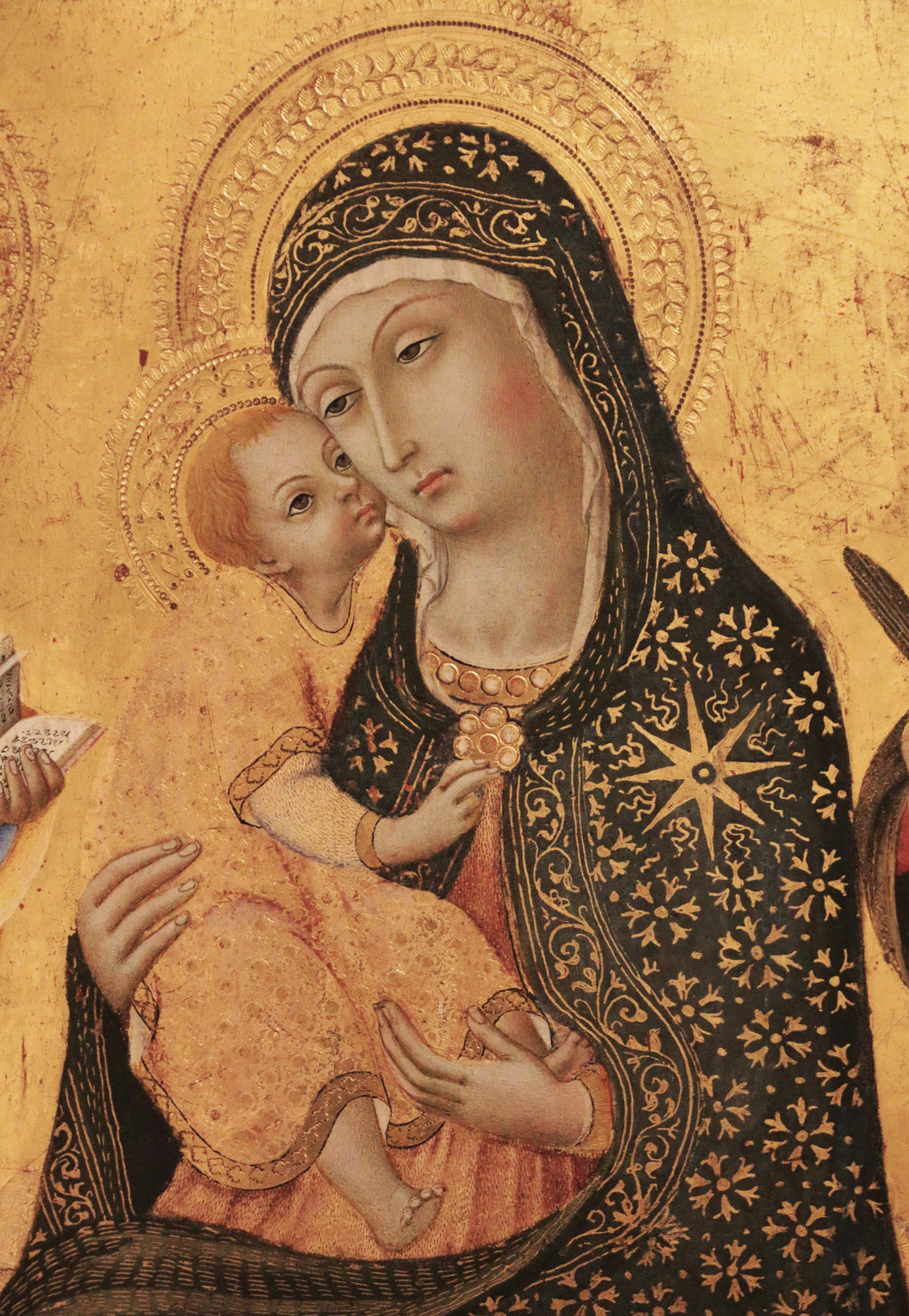 Siena